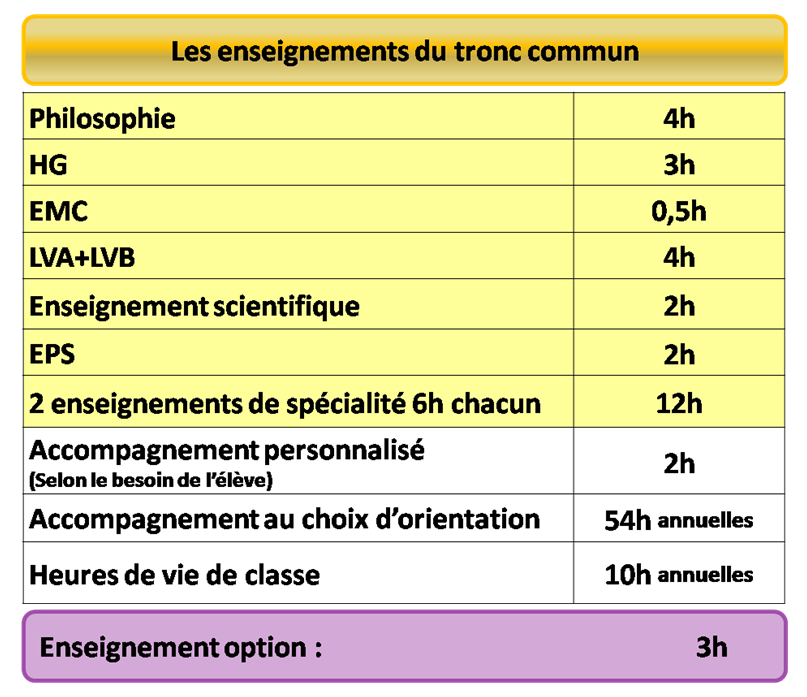 Le Nouveau Bac Général, C'est Quoi ? | Lycée MONGE Chambéry